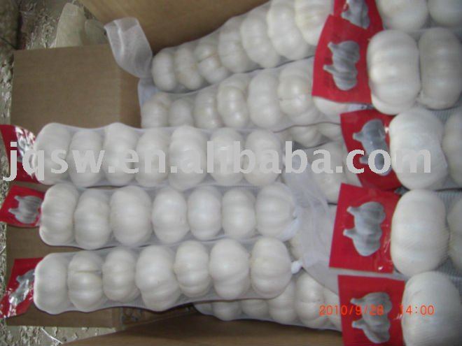 Chinese Fresh Garlic in Mesh Bag Package,