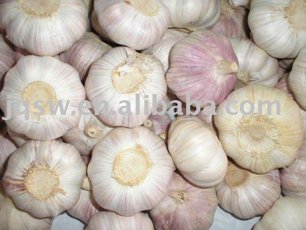 fresh garlic approved by HACCP GAP ISO