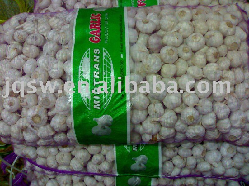 2011 Fresh Chinese normal Whiter Garlic Best Price!