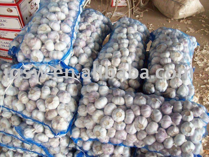 2011 New Crop Fresh laiwu Garlic --HIght Quality and Good Price