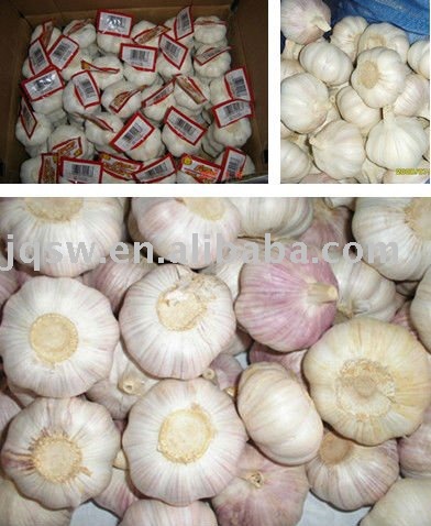 Chinese Hight Quality Fresh Garlic At  Optimum  Price