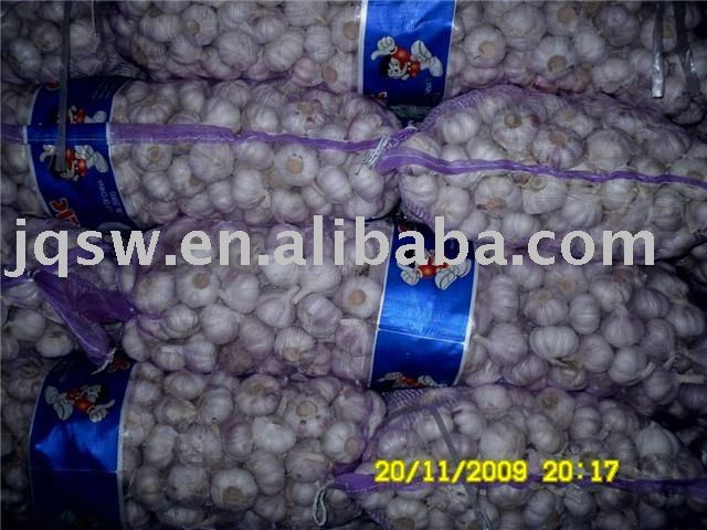 2011 CHINESE HIGHT QUALITY FRESH GARLIC AT FAVOURABLE PRICE