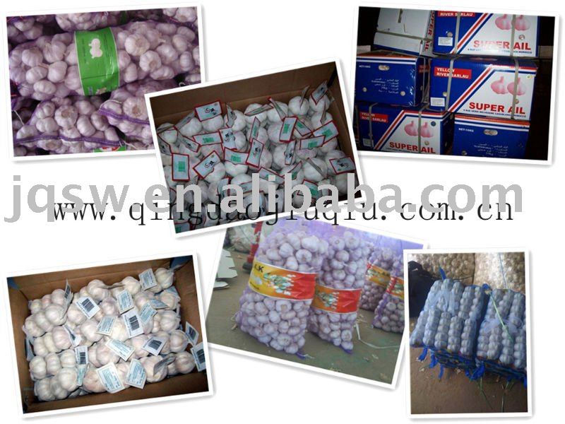 2011 Fresh Garlic Fresh Jinxiang Garlic,Fresh Laiwu Garlic low Price