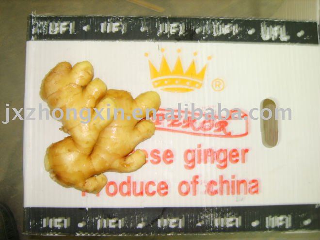 organic  chinese fresh ginger size 150g up