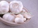 big garlic ITEM NO.22 (SIZE(cm):5