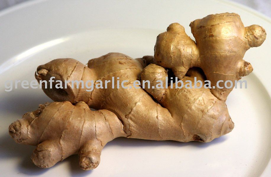 Fresh Ginger,Yellow Ginger Seller