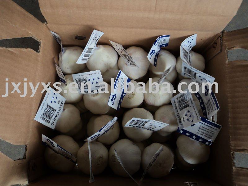 2011garlic