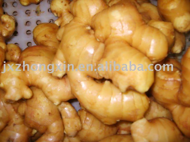 green vegetable  chinese spices fresh ginger size 250g