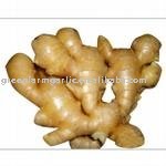 Fresh Yellow Ginger Seller