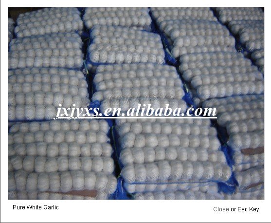 Small  packing fresh garlic(mesh bag)