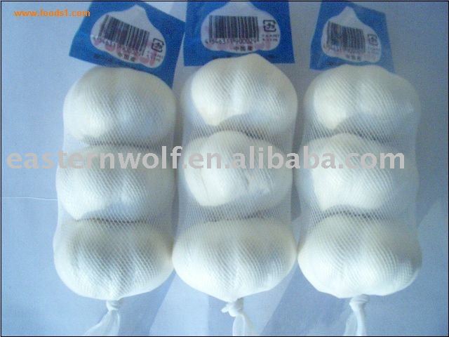 Fresh garlic in 250g mesh bag package .2011 crop .MOQ:1*20`FCL