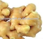  chinese  new fresh yellow ginger in plastic  box  MOQ:1*40FCL