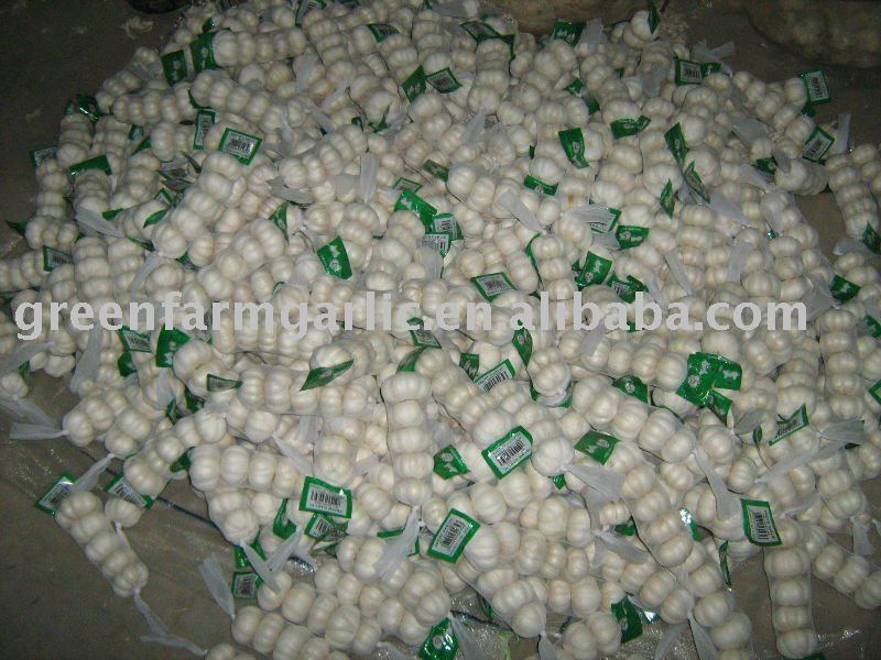 Greenfarm Top Quality Fresh  White Garlic New Corps