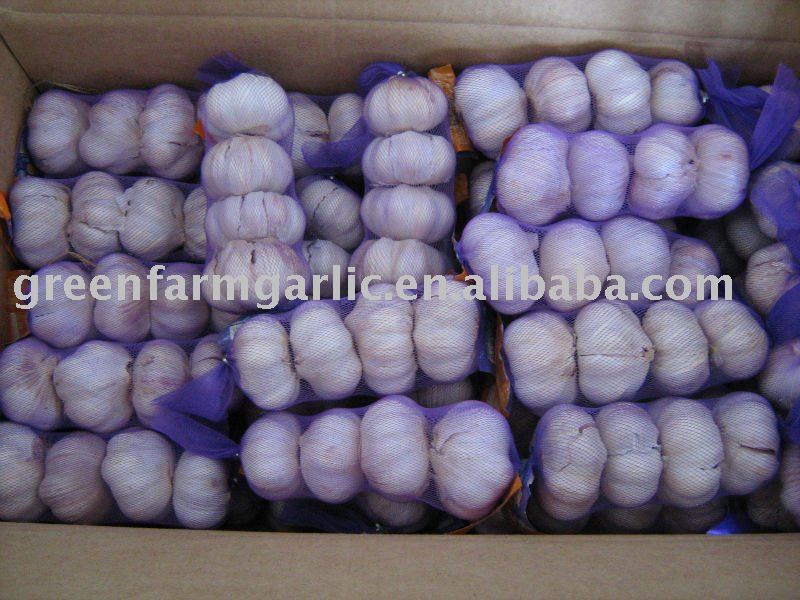 Greenfarm Top Quality  Garlic New Corps In mesh Bags