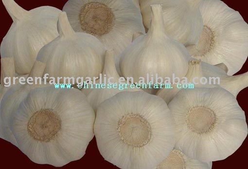 New Jinxiang White Garlic Packed in Small Mesh Bags