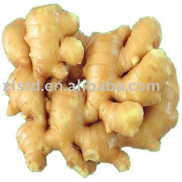 fresh  ginger   250g  and up, fat  ginger 