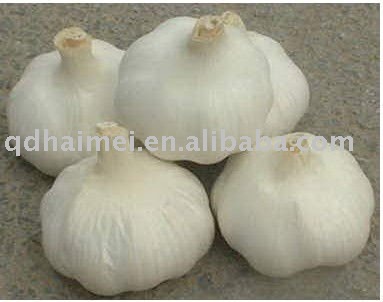 fresh garlic, pure white and normal white, 4.5cm-6.5cm, packed in carton and mesh bag, certified by