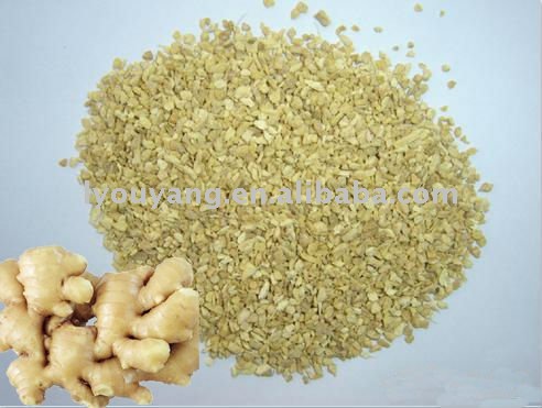 hot air  dried   ginger   granules 