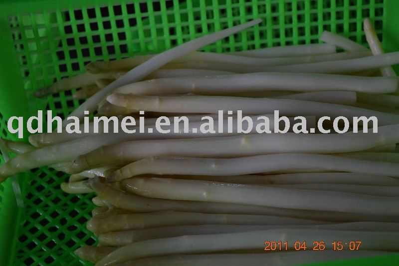chinese  canned   white   asparagus  spear