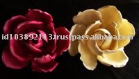  SINGLE   FLOWER  - Wild Magnolia Gum paste