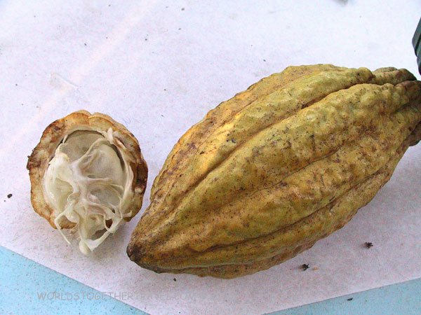  raw   chocolate 