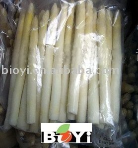  Frozen   vegetable  -  Frozen  White  Asparagus 