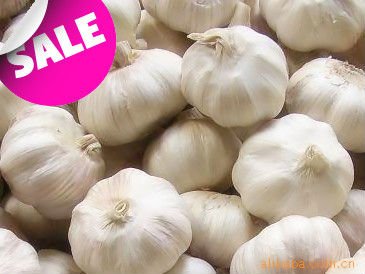 China Garlic Price 2011