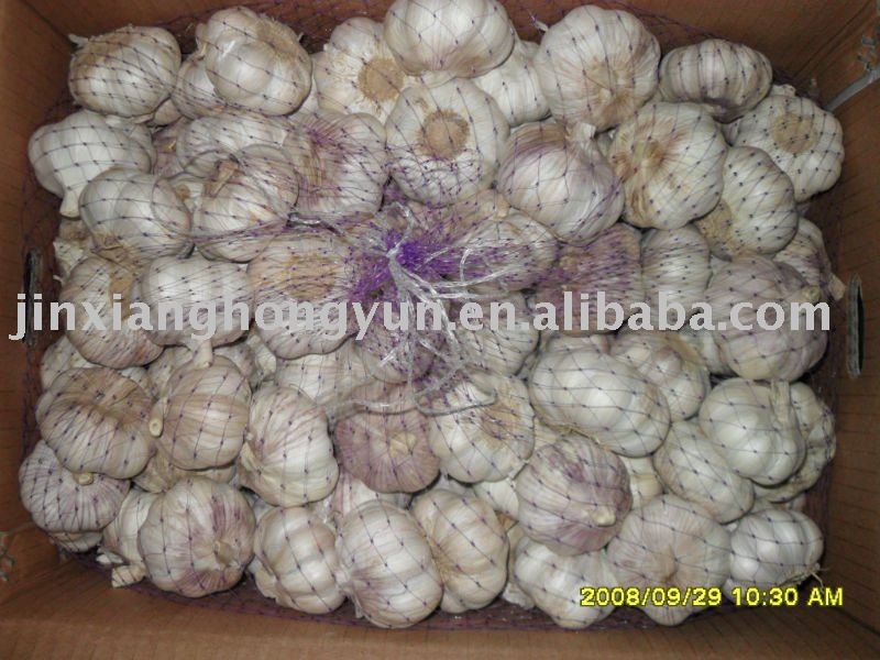 Normal white garlic(2011 new crop,Low price)