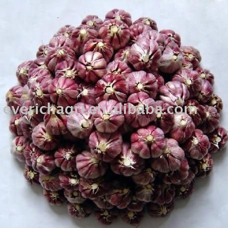 Chinese Red Garlic(s)