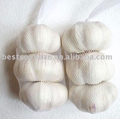 Chinese fresh garlic