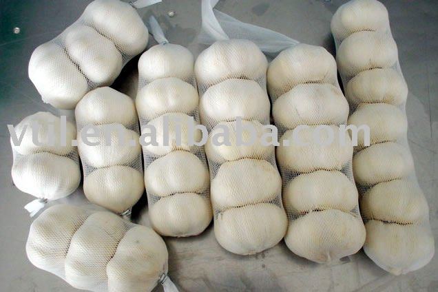 China  Pure White Garlic 5.0cm&up
