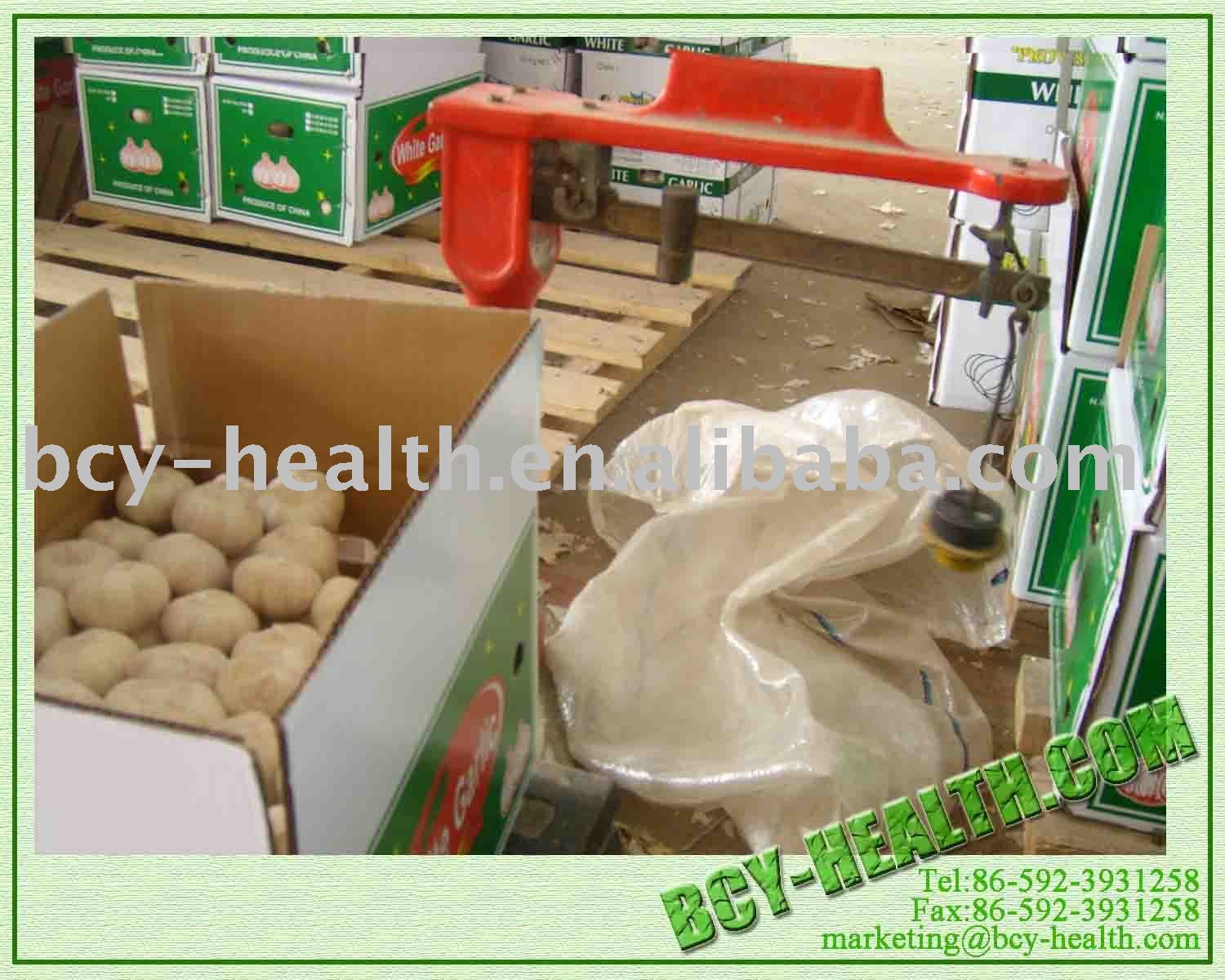 Chinese Garlic