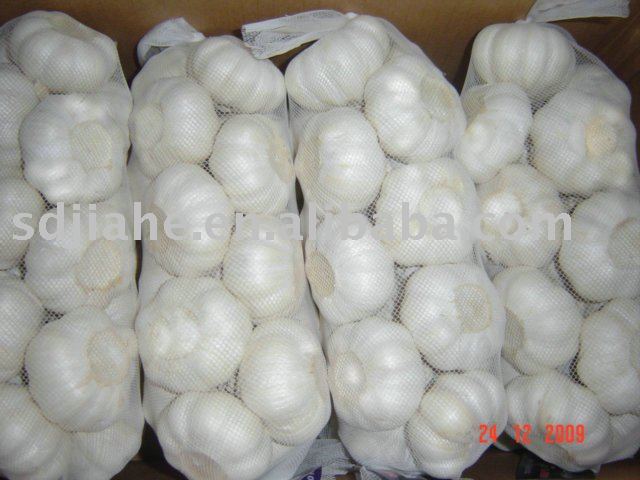 chinese garlic