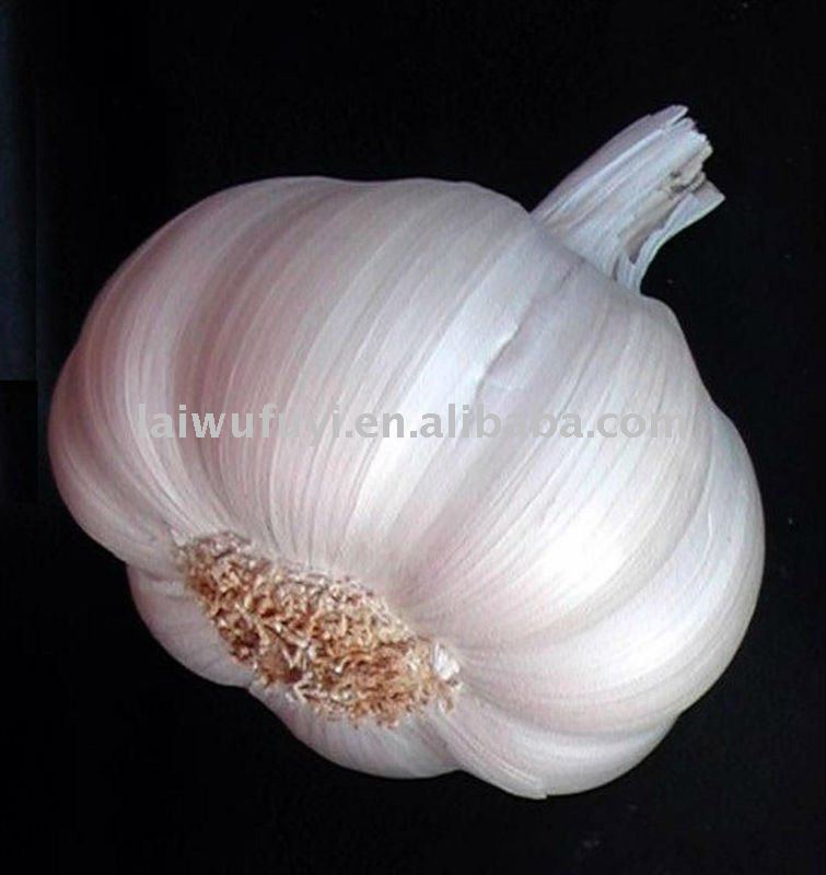2011 new crop garlic