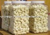 Canned Garlic