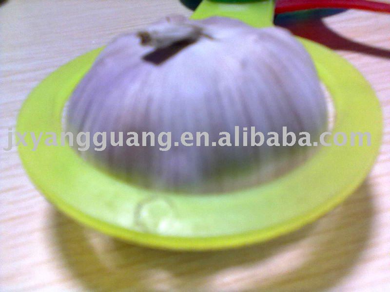 2011 top quality Chinese normal white garlic
