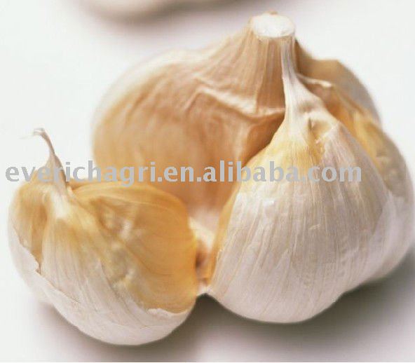 Chinese Fresh Garlic