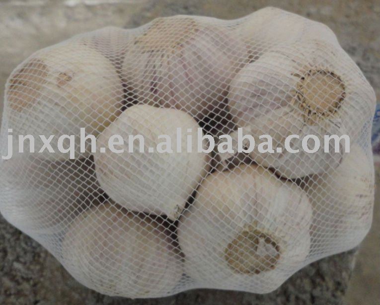 1kg mesh bag loose packing fresh normal white  garlic