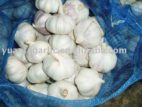 China Fresh Garlic in Mesh Bag Package, MOQ:1*20 FCL