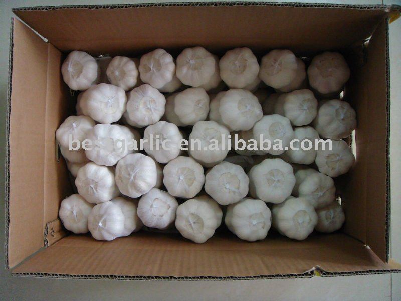  2011   Pure   White   Garlic 