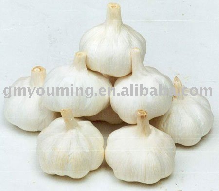 Normal White Garlic