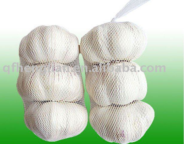 Fresh White Garlic