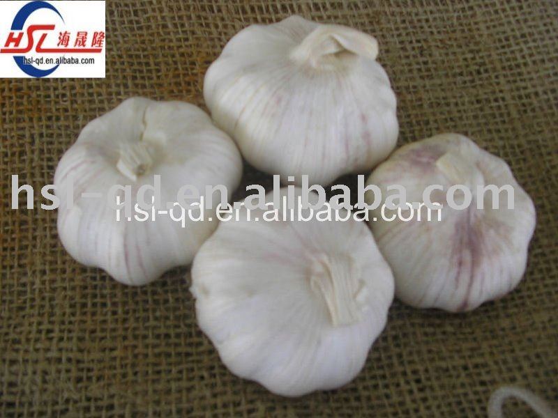 normal white fresh  garlic