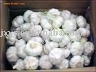 Chinese- normal  white Garlic