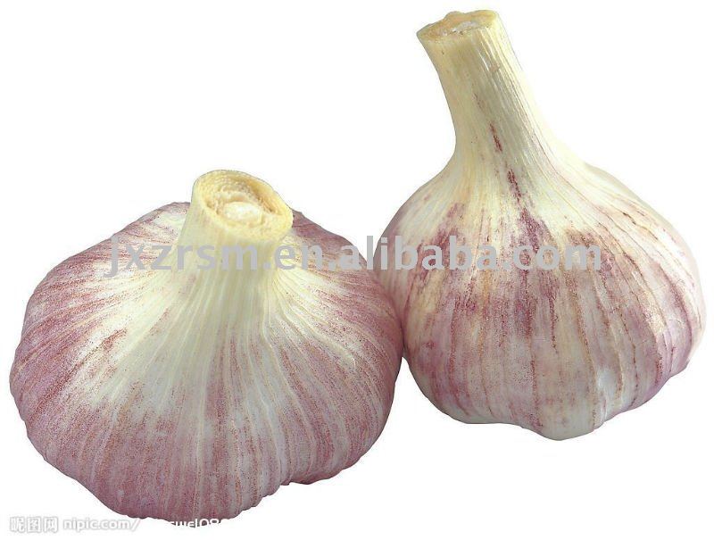 2011 jinxiang  fresh white garlic
