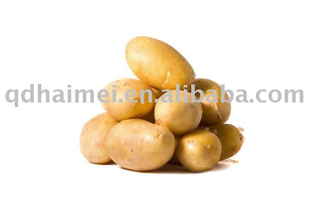 2010 Chinese Fresh Organic Potatoes