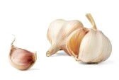Pure Garlic