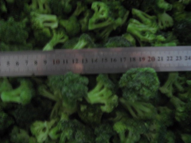 Frozen Brocolli