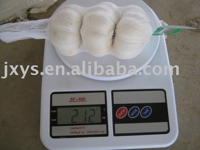 HACCP approved fresh garlic