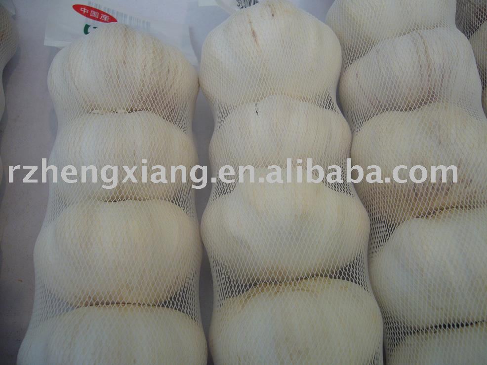 pure white garlic